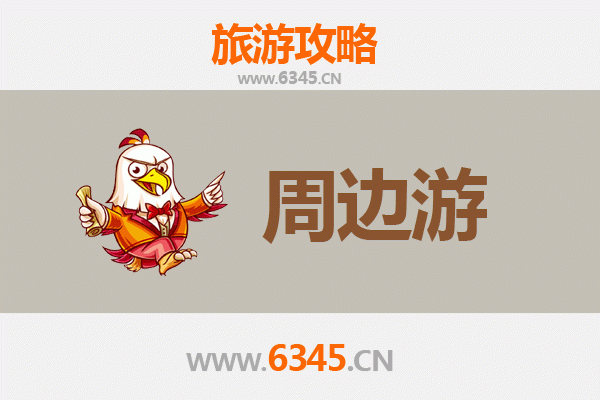 菏泽成武周边游攻略：探索鲁西南的历史文化与自然风光