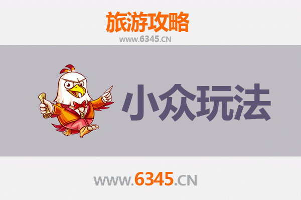 菏泽成武小众探秘：古韵田园与非遗文化的深度体验之旅