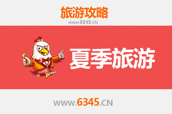菏泽成武夏季避暑全攻略：荷风古韵，清凉一夏